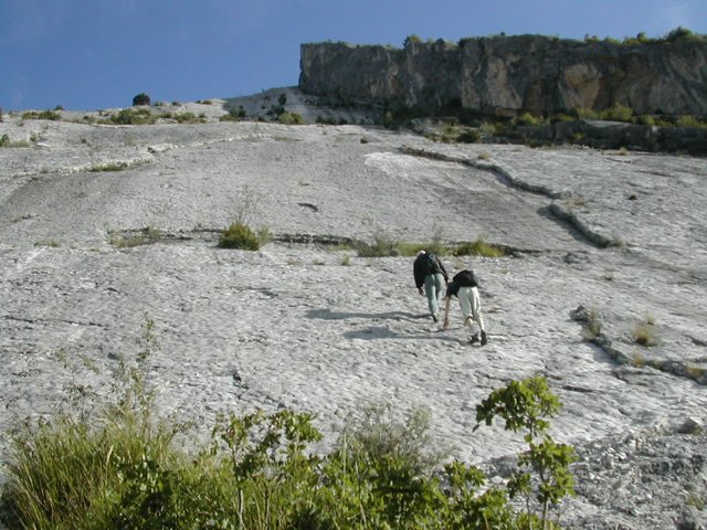DSCN2338.JPG