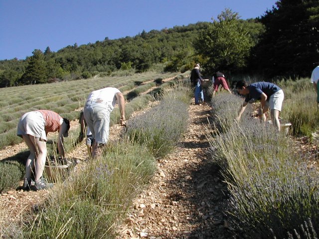 DSCN2410.JPG
