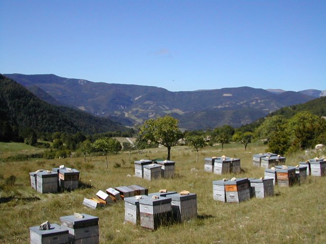 DSCN2422.JPG