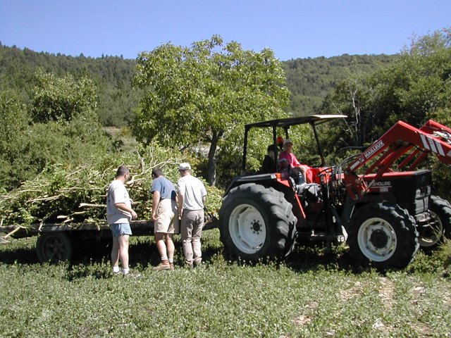 DSCN2430.JPG