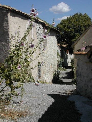 DSCN2469.JPG