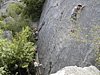 DSCN2389.JPG