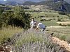 DSCN2414.JPG