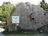 DSCN2472.JPG