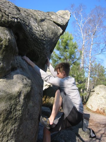 131-3111_IMG.JPG
