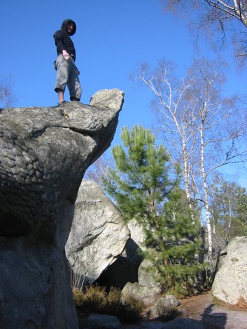 131-3118_IMG.JPG
