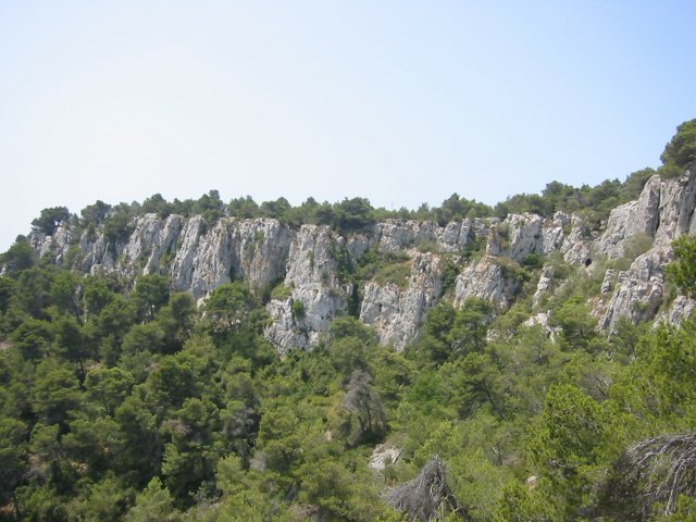 141-4139_IMG.JPG