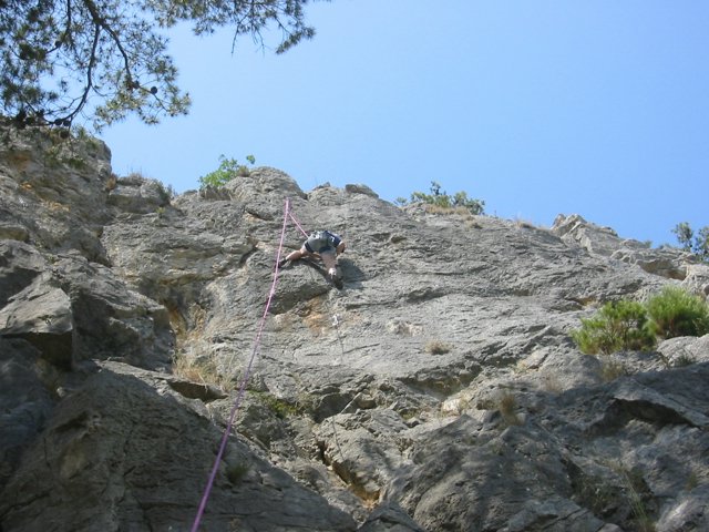 141-4161_IMG.JPG