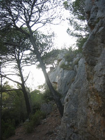 141-4166_IMG.JPG