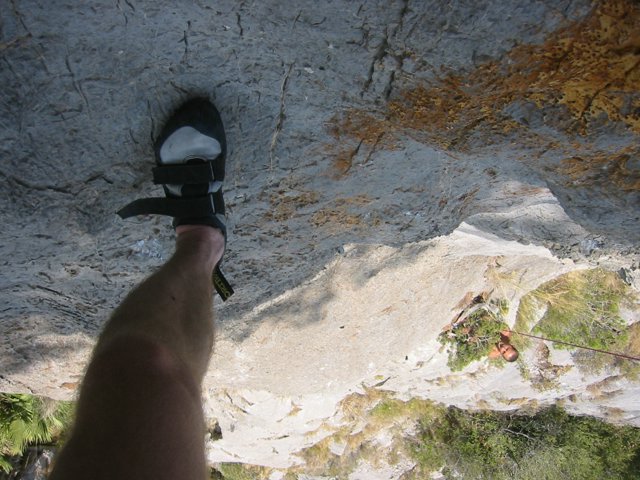 141-4196_IMG.JPG