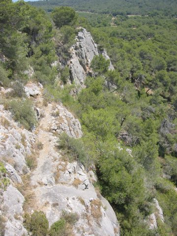 141-4198_IMG.JPG