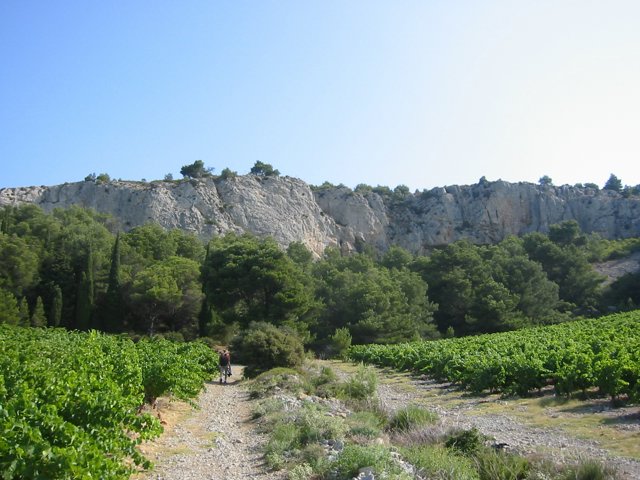 142-4217_IMG.JPG
