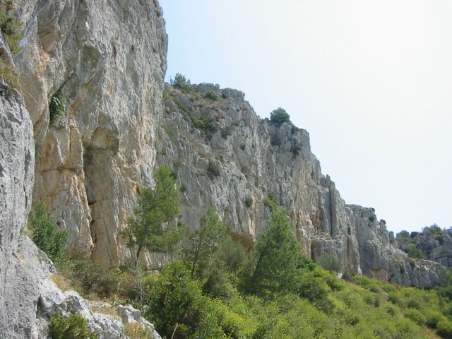 142-4223_IMG.JPG