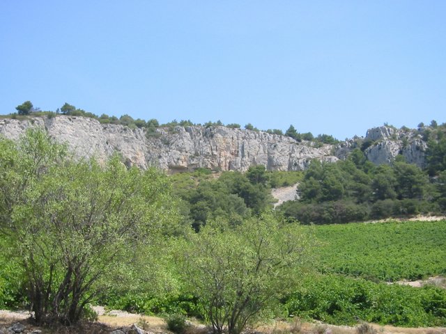 142-4224_IMG.JPG