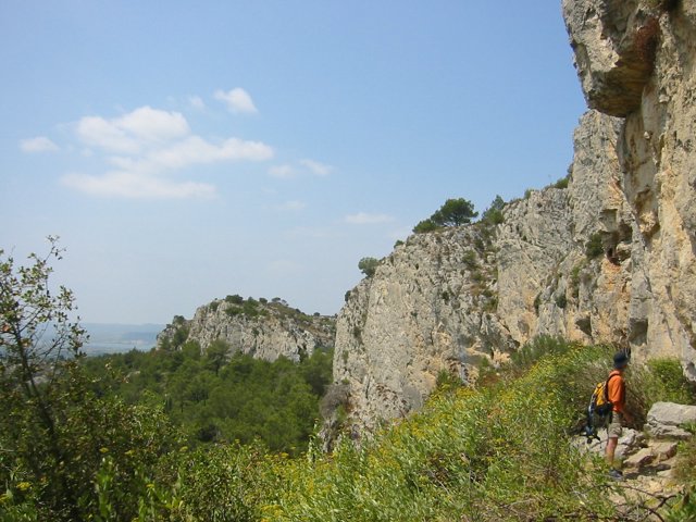 142-4225_IMG.JPG