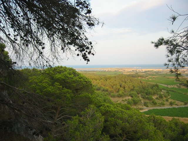 142-4259_IMG.JPG
