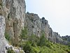 142-4223_IMG.JPG
