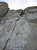 142-4266_IMG.JPG