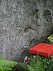 IMG_6374.JPG