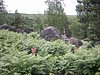 IMG_6425.JPG