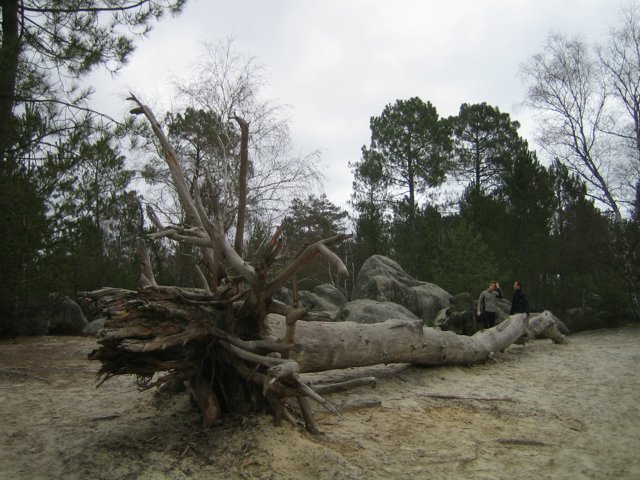 troisPignons 046.jpg