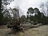 troisPignons 046.jpg