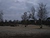 troisPignons 060.jpg