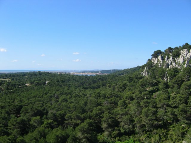 7-8_IMG_0043.JPG