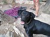 4_IMG_0045.jpg