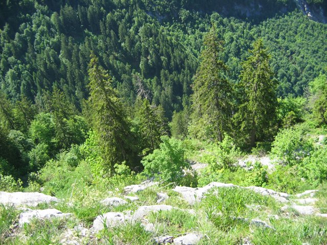 06-11 Annecy 030.JPG