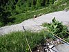 06-11 Annecy 021.JPG