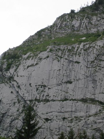 IMG_00632271.JPG