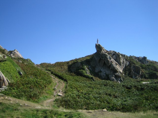 IMG_2417.JPG