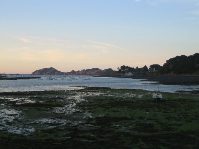 IMG_2429.JPG