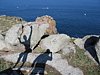 IMG_0315.JPG
