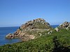 IMG_2317.JPG