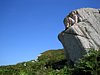 IMG_2339.JPG
