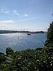 IMG_2350.JPG