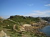 IMG_2355.JPG
