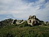 IMG_2481.JPG