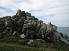 IMG_25020.jpg