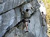 IMG_1936.jpg