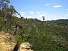 IMG_3061.JPG
