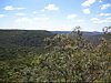 05-11-12Berowra02.jpg