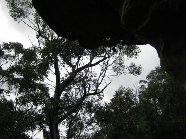 IMG_3274.JPG