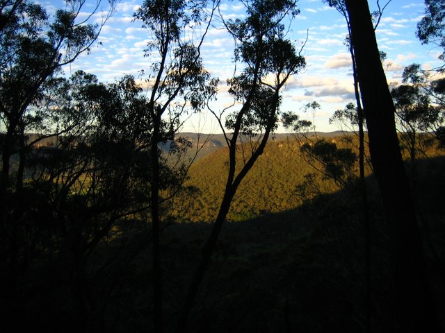 IMG_3439.JPG
