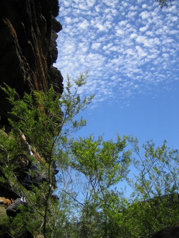IMG_3481.JPG