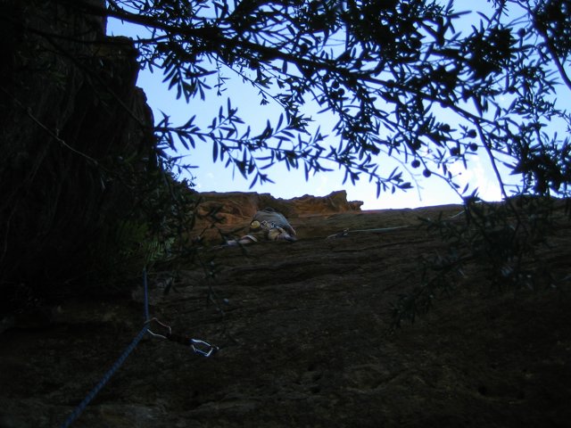 IMG_3511.JPG
