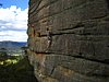 IMG_3398.JPG