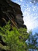 IMG_3483.JPG